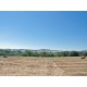 Properties for Sale_COUNTRY HOUSE TO RESTORE FOR SALE IN MARCHE Farmhouse with land in Italy in Le Marche_7
